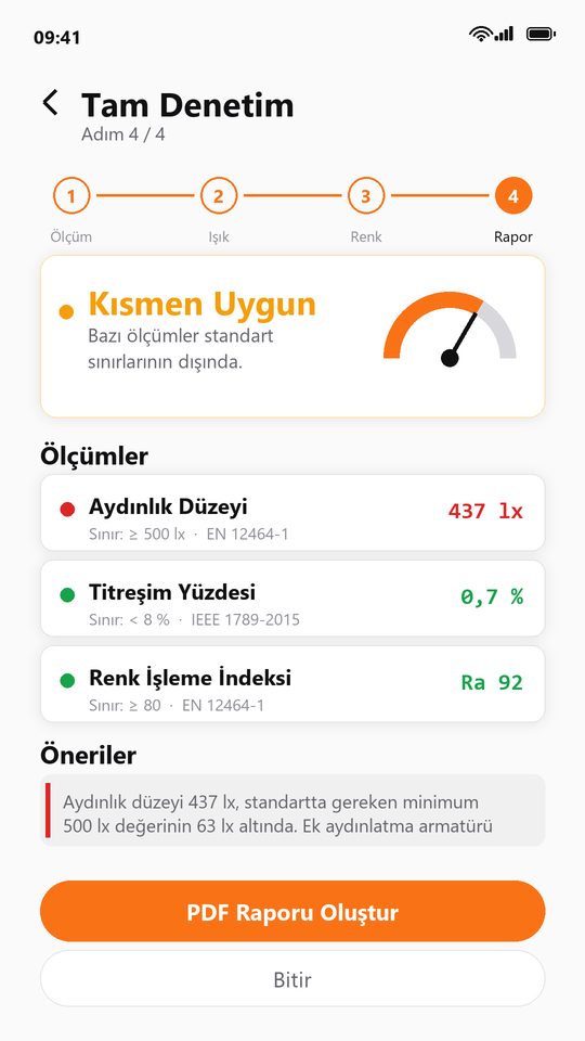 Tam Denetim özet raporu